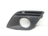 Front fog light trim/grill