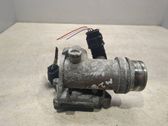 Throttle body valve