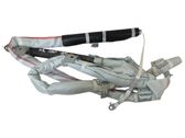 Roof airbag