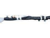 Roof airbag