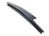 Rear door glass trim molding