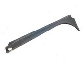 Other front door trim element