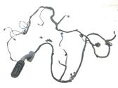 Front door wiring loom