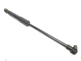 Front bonnet/hood damper/strut