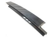 Rear door glass trim molding
