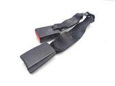 Middle seatbelt buckle (rear)