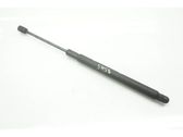 Front bonnet/hood damper/strut