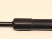 Tailgate/trunk strut/damper