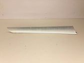 Front door trim (molding)