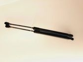 Tailgate/trunk strut/damper