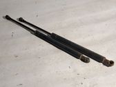 Tailgate/trunk strut/damper
