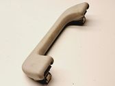 Front interior roof grab handle