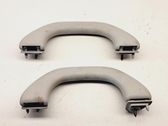 Front interior roof grab handle
