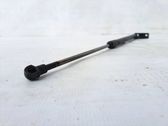 Tailgate/trunk strut/damper