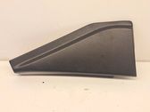 Other rear door trim element