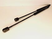 Tailgate/trunk strut/damper