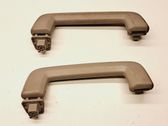 Front interior roof grab handle