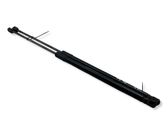 Tailgate/trunk strut/damper