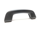 Front interior roof grab handle