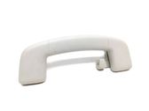 Rear interior roof grab handle
