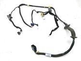 Front door wiring loom
