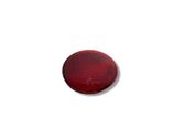 Rear tail light reflector