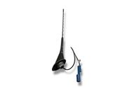 Radion antenni