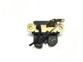 Tailgate/trunk/boot lock/catch/latch
