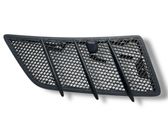 Ziergitter Motorhaube
