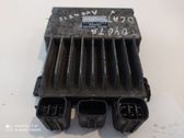 Fuel injection control unit/module