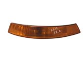 Front indicator light
