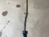 Línea de cable puerta delantera