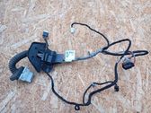 Rear door wiring loom