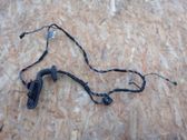 Front door wiring loom