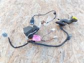 Cableado de puerta trasera