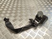 Rear seatbelt