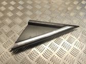 Fender end trim