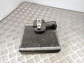 Heater blower radiator