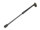Tailgate/trunk strut/damper