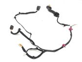 Rear door wiring loom