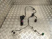 Rear door wiring loom