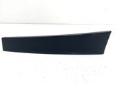 Rear door glass trim molding