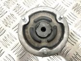 Coil spring mount