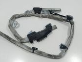 Roof airbag