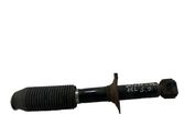 Rear shock absorber/damper