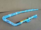 Roof airbag