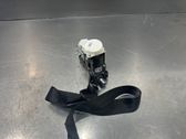 Sicherheitsgurt vorne