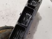 Engine control unit/module ECU