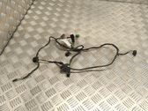 Front door wiring loom