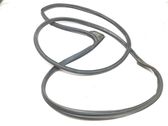 Rubber seal front door (on door)